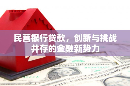 昆都仑民营银行贷款，创新与挑战并存的金融新势力