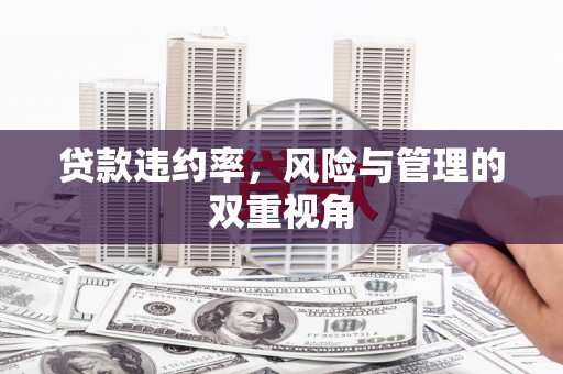昆都仑贷款违约率，风险与管理的双重视角