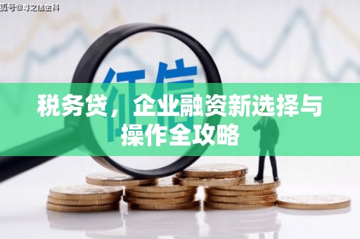 昆都仑税务贷，企业融资新选择与操作全攻略