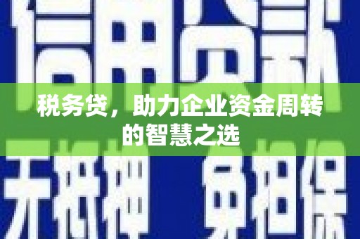 昆都仑税务贷，助力企业资金周转的智慧之选