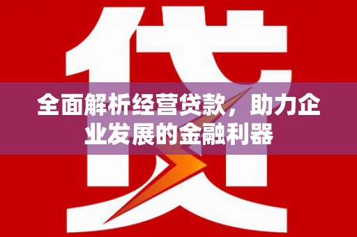 昆都仑全面解析经营贷款，助力企业发展的金融利器