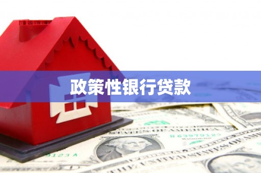 昆都仑政策性银行贷款