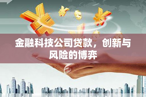 昆都仑金融科技公司贷款，创新与风险的博弈