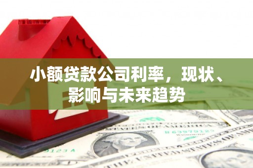 昆都仑小额贷款公司利率，现状、影响与未来趋势