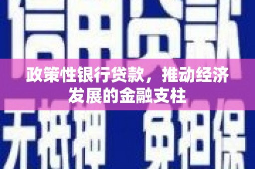 昆都仑政策性银行贷款，推动经济发展的金融支柱