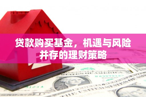 昆都仑贷款购买基金，机遇与风险并存的理财策略