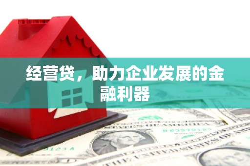 昆都仑经营贷，助力企业发展的金融利器