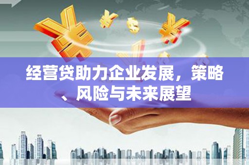昆都仑经营贷助力企业发展，策略、风险与未来展望
