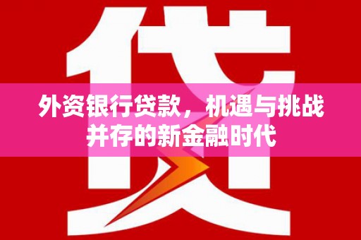 昆都仑外资银行贷款，机遇与挑战并存的新金融时代