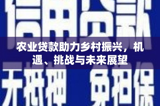 昆都仑农业贷款助力乡村振兴，机遇、挑战与未来展望