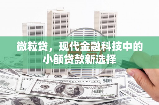 昆都仑微粒贷，现代金融科技中的小额贷款新选择