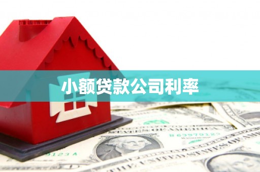 昆都仑小额贷款公司利率