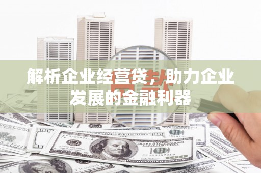 昆都仑解析企业经营贷，助力企业发展的金融利器