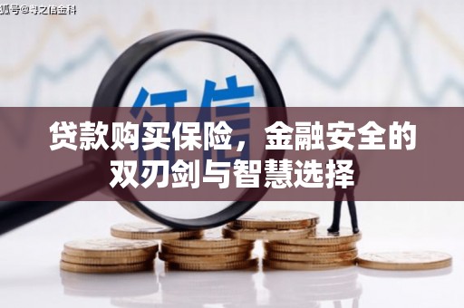 昆都仑贷款购买保险，金融安全的双刃剑与智慧选择