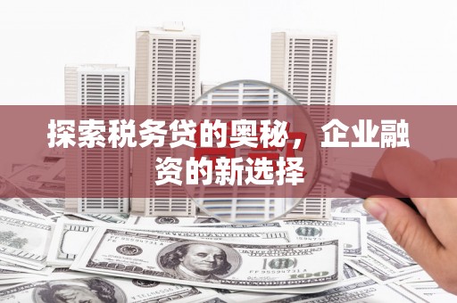 昆都仑探索税务贷的奥秘，企业融资的新选择