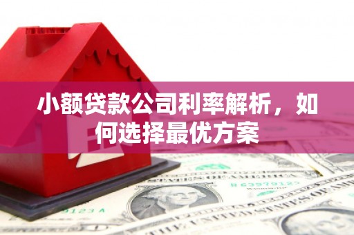 昆都仑小额贷款公司利率解析，如何选择最优方案