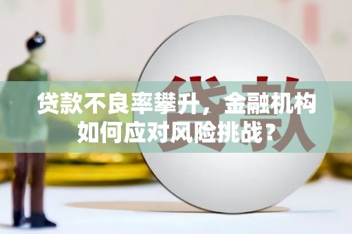 昆都仑贷款不良率攀升，金融机构如何应对风险挑战？