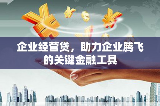 昆都仑企业经营贷，助力企业腾飞的关键金融工具