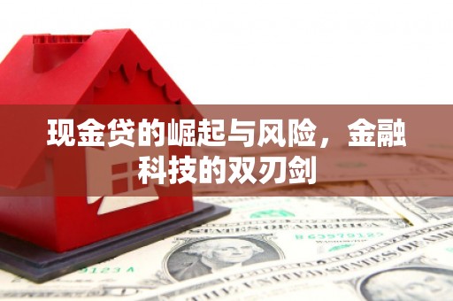 昆都仑现金贷的崛起与风险，金融科技的双刃剑