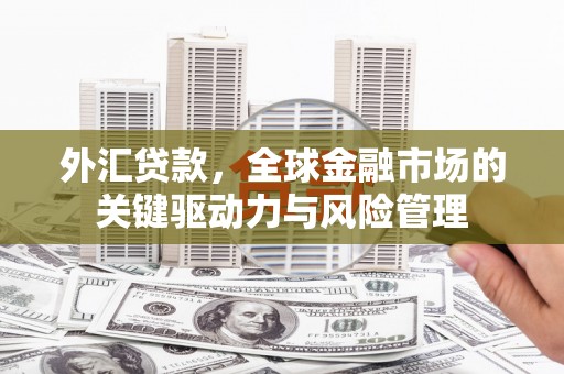 昆都仑外汇贷款，全球金融市场的关键驱动力与风险管理