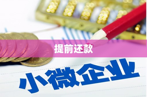 昆都仑提前还款