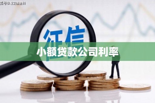 昆都仑小额贷款公司利率
