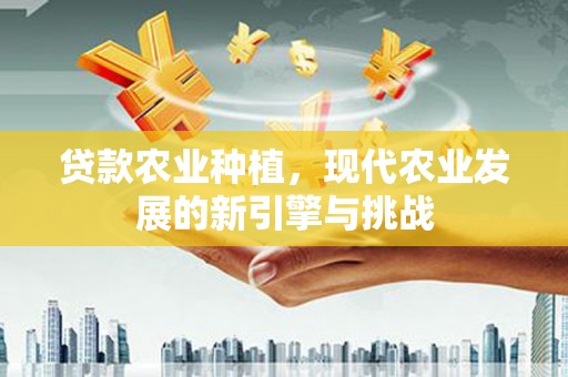 昆都仑贷款农业种植，现代农业发展的新引擎与挑战