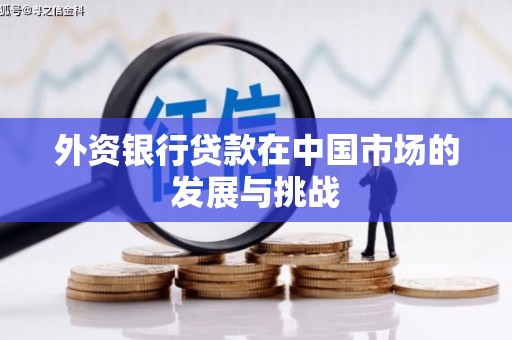 昆都仑外资银行贷款在中国市场的发展与挑战