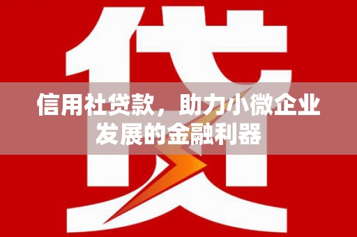 昆都仑信用社贷款，助力小微企业发展的金融利器
