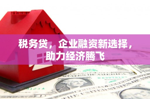 昆都仑税务贷，企业融资新选择，助力经济腾飞