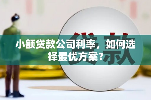 昆都仑小额贷款公司利率，如何选择最优方案？