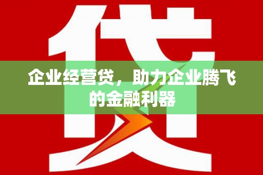 昆都仑企业经营贷，助力企业腾飞的金融利器