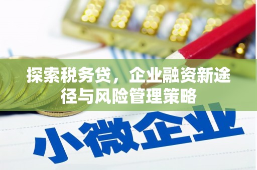 昆都仑探索税务贷，企业融资新途径与风险管理策略