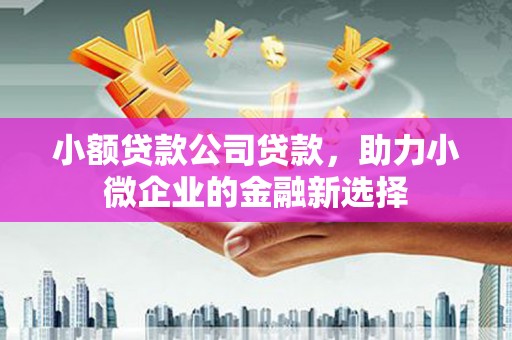 昆都仑小额贷款公司贷款，助力小微企业的金融新选择