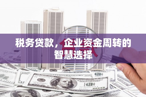 昆都仑税务贷款，企业资金周转的智慧选择