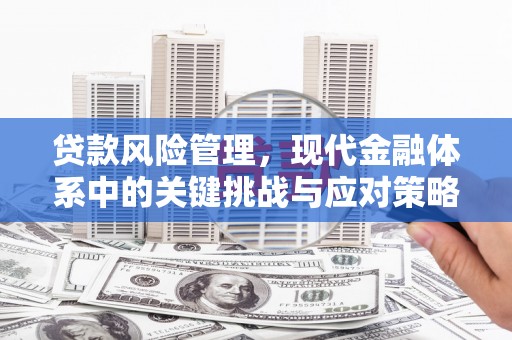 昆都仑贷款风险管理，现代金融体系中的关键挑战与应对策略
