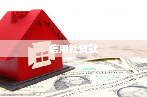 昆都仑信用社贷款