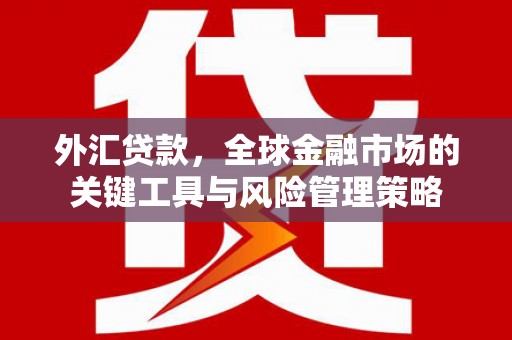 昆都仑外汇贷款，全球金融市场的关键工具与风险管理策略