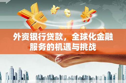 昆都仑外资银行贷款，全球化金融服务的机遇与挑战
