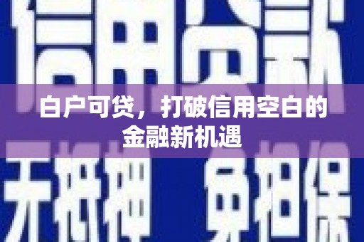 昆都仑白户可贷，打破信用空白的金融新机遇