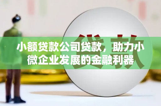 昆都仑小额贷款公司贷款，助力小微企业发展的金融利器