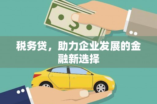昆都仑税务贷，助力企业发展的金融新选择