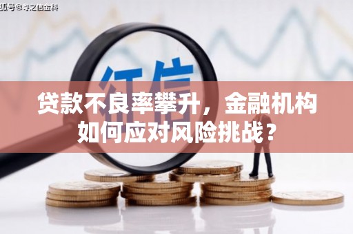 昆都仑贷款不良率攀升，金融机构如何应对风险挑战？