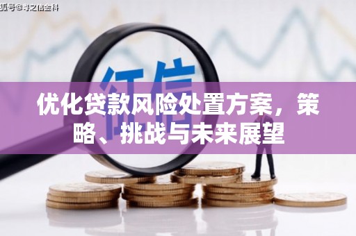 昆都仑优化贷款风险处置方案，策略、挑战与未来展望