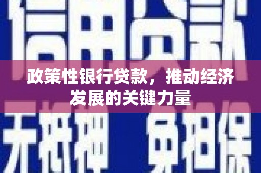 昆都仑政策性银行贷款，推动经济发展的关键力量