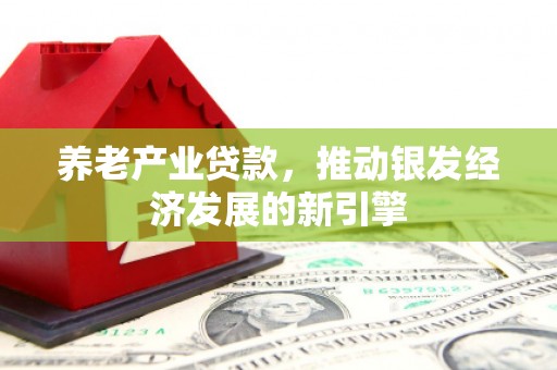 昆都仑养老产业贷款，推动银发经济发展的新引擎
