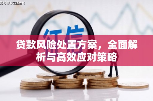 昆都仑贷款风险处置方案，全面解析与高效应对策略