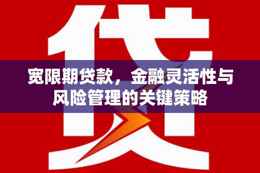 昆都仑宽限期贷款，金融灵活性与风险管理的关键策略