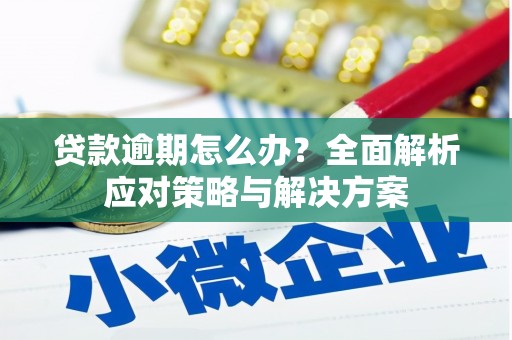 昆都仑贷款逾期怎么办？全面解析应对策略与解决方案