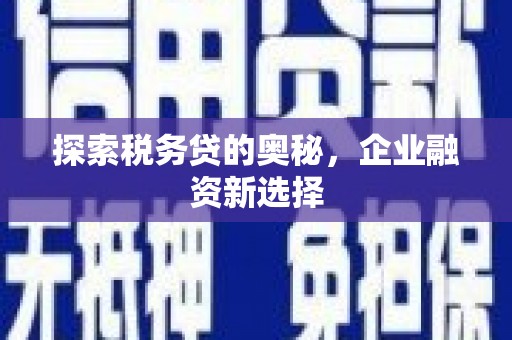 昆都仑探索税务贷的奥秘，企业融资新选择